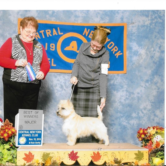 Meet your Posher, Sandi - Picture 1 of 1